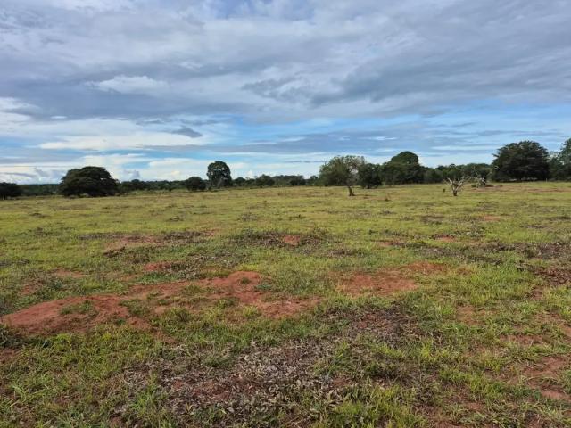 Sítio e chácara venda em Região Geográfica Imediata de Campo Grande, Jaraguari