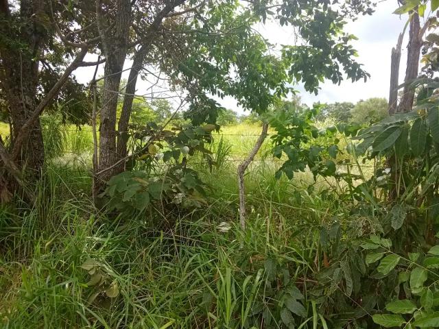 Sítio e chácara venda em Região Geográfica Imediata de Campo Grande, Jaraguari