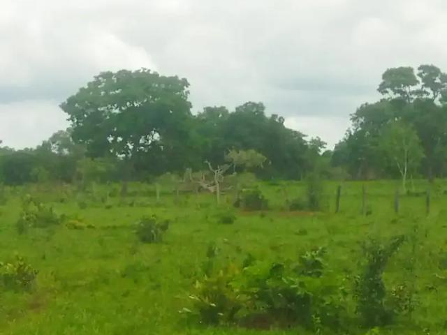 Sítio e chácara venda em Região Geográfica Imediata de Campo Grande, Jaraguari