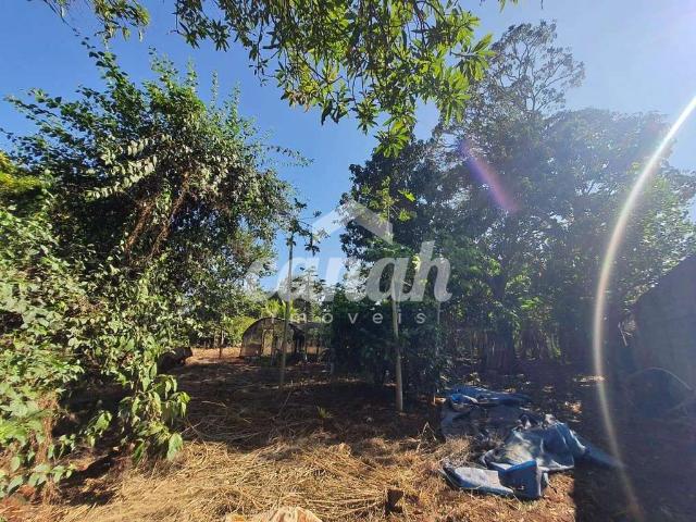 Sítio e chácara venda em Região Imediata de Ribeirão Preto, Região Metropolitana de Ribeirão Preto