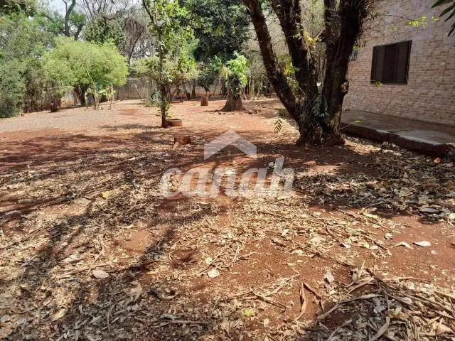 Sítio e chácara venda em Região Imediata de Ribeirão Preto, Região Metropolitana de Ribeirão Preto