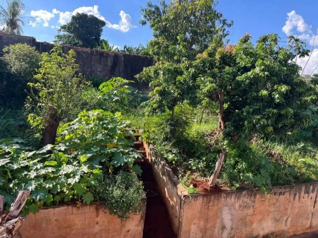 Sítio e chácara venda em Região Imediata de Ribeirão Preto, Região Metropolitana de Ribeirão Preto