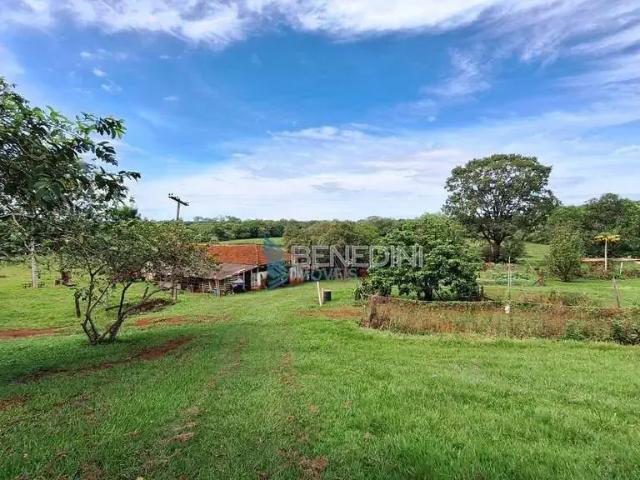 Sítio e chácara venda em Região Imediata de Ribeirão Preto, Região Metropolitana de Ribeirão Preto