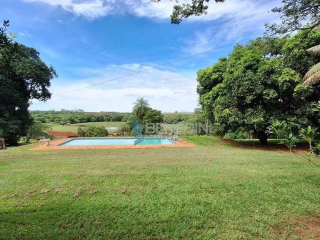 Sítio e chácara venda em Região Imediata de Ribeirão Preto, Região Metropolitana de Ribeirão Preto