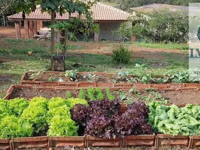 Sítio e chácara venda em Jarinu