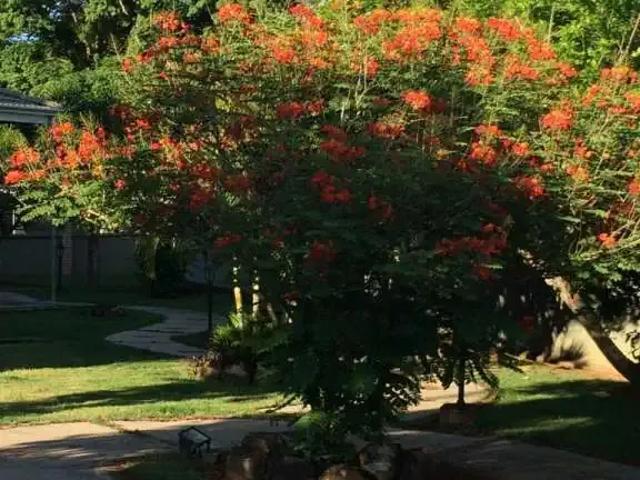 Sítio e chácara venda em Região Imediata de Jundiaí, Jarinu