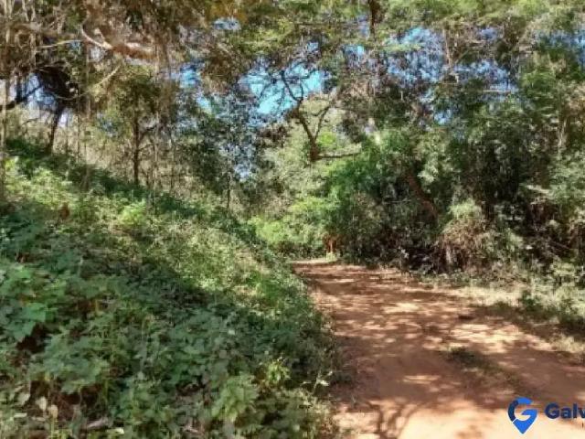 Sítio e chácara venda em Jarinu