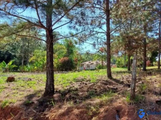 Sítio e chácara venda em Jarinu
