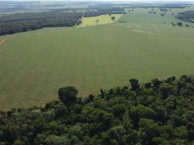 Sítio e chácara venda em Região Geográfica Imediata de Jataí-Mineiros, Jataí