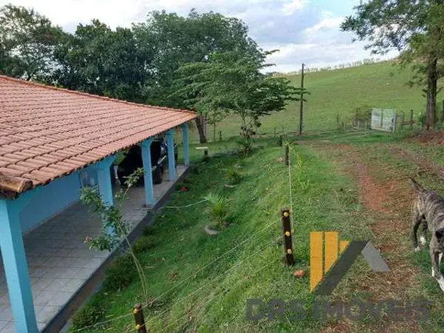 Sítio e chácara venda em Região Geográfica Imediata de Londrina, Jataizinho