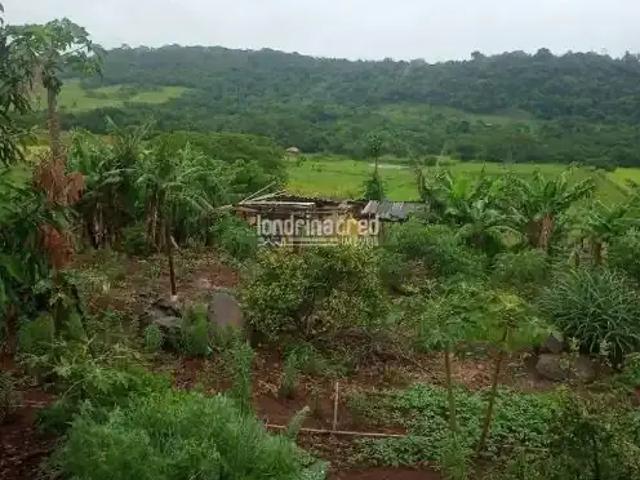 Sítio e chácara venda em Região Geográfica Imediata de Londrina, Jataizinho