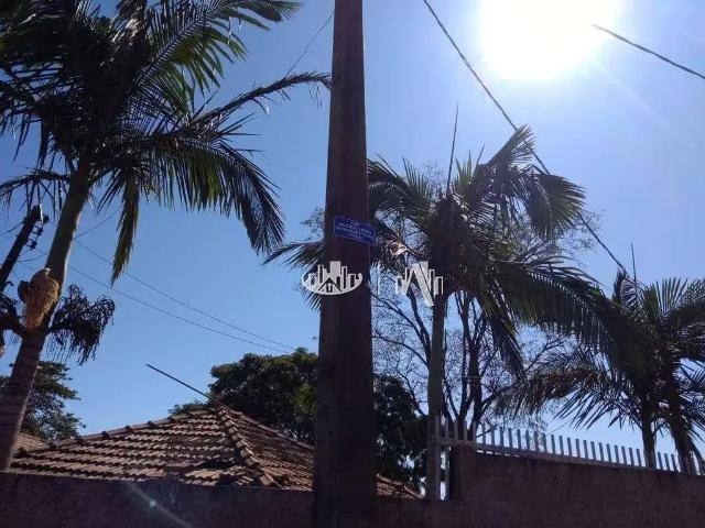 Sítio e chácara venda em Região Geográfica Imediata de Londrina, Jataizinho