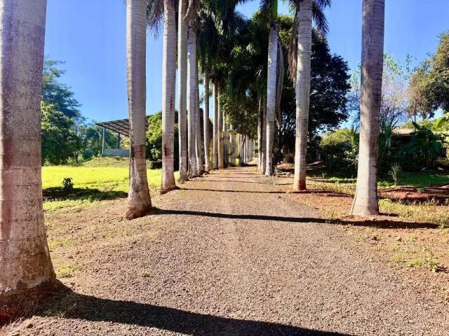 Sítio e chácara venda em Região Geográfica Imediata de Londrina, Jataizinho