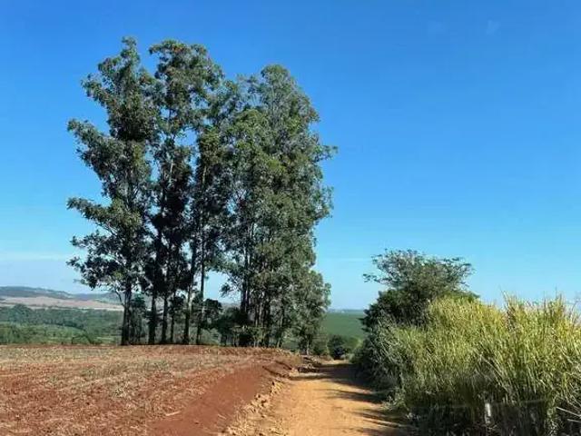 Sítio e chácara venda em Jataizinho, Paraná