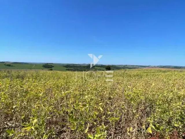 Sítio e chácara venda em Região Geográfica Imediata de Londrina, Jataizinho