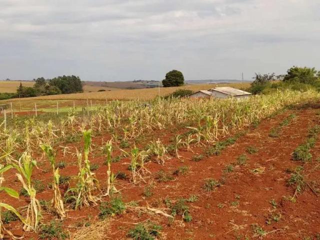Sítio e chácara venda em Região Geográfica Imediata de Londrina, Jataizinho
