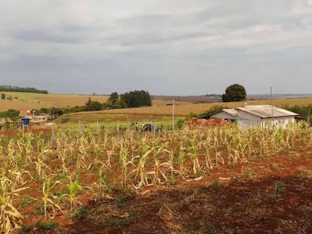 Sítio e chácara venda em Região Geográfica Imediata de Londrina, Jataizinho