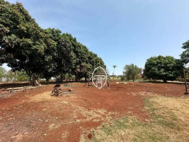 Sítio e chácara venda em Jataizinho, Paraná