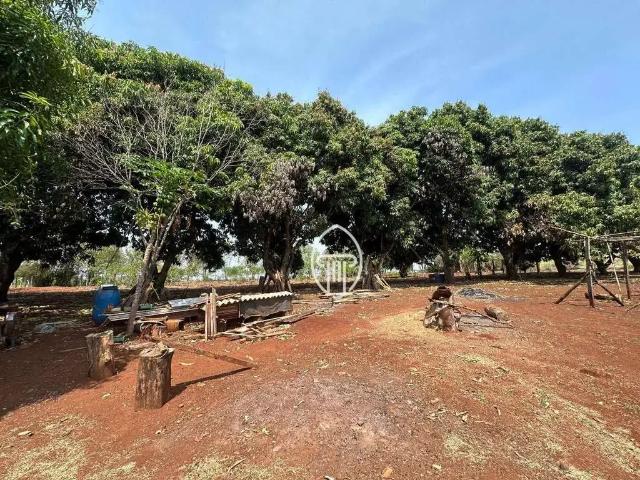 Sítio e chácara venda em Região Geográfica Imediata de Londrina, Jataizinho