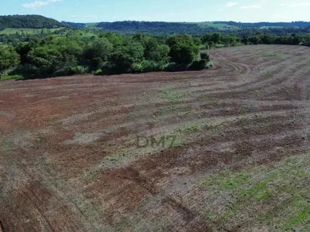 Sítio e chácara venda em Região Geográfica Imediata de Londrina, Jataizinho