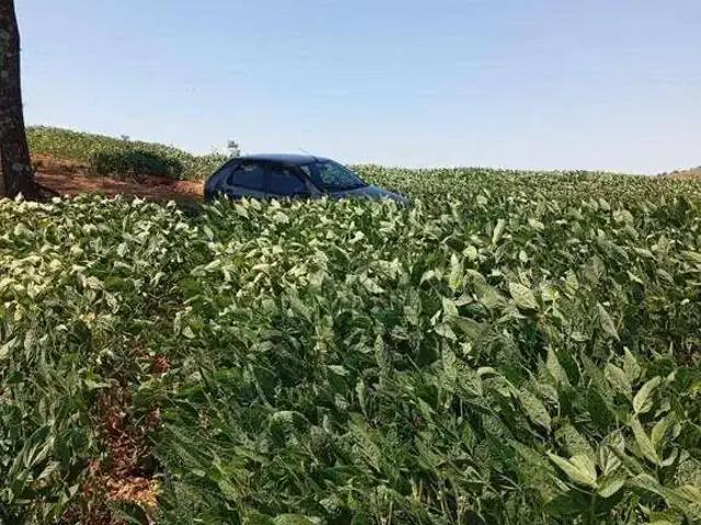 Sítio e chácara venda em Região Geográfica Imediata de Londrina, Jataizinho