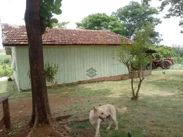 Sítio e chácara venda em Jataizinho, Paraná