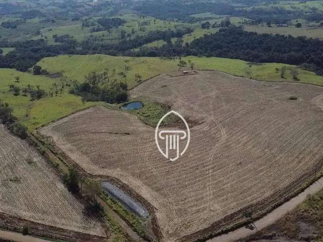 Sítio e chácara venda em Jataizinho, Paraná