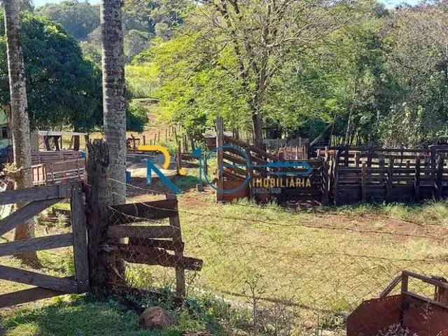 Sítio e chácara venda em Região Geográfica Imediata de Londrina, Jataizinho