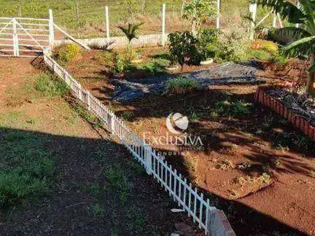 Sitio venda em Jataizinho Sitio venda em Jataizinho