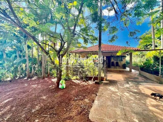 Sítio e chácara venda em Jataizinho, Paraná