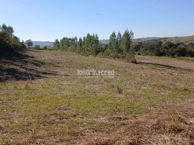 Sítio e chácara venda em Região Geográfica Imediata de Londrina, Jataizinho