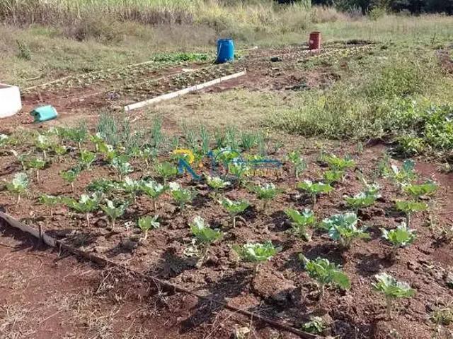 Sítio e chácara venda em Região Geográfica Imediata de Londrina, Jataizinho