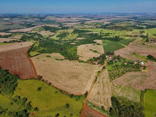 Sítio e chácara venda em Região Geográfica Imediata de Londrina, Jataizinho