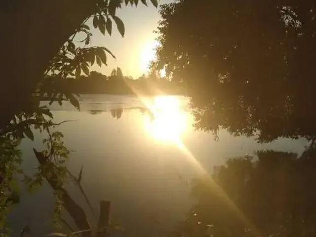 Sítio e chácara venda em Jataizinho, Paraná