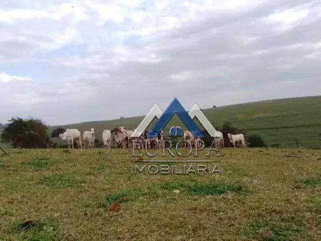Sítio e chácara venda em Seção Roseira, Jataizinho