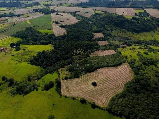 Sítio e chácara venda em Região Geográfica Imediata de Londrina, Jataizinho