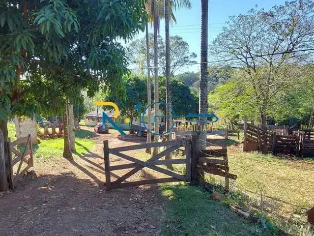 Sítio e chácara venda em Jataizinho, Paraná