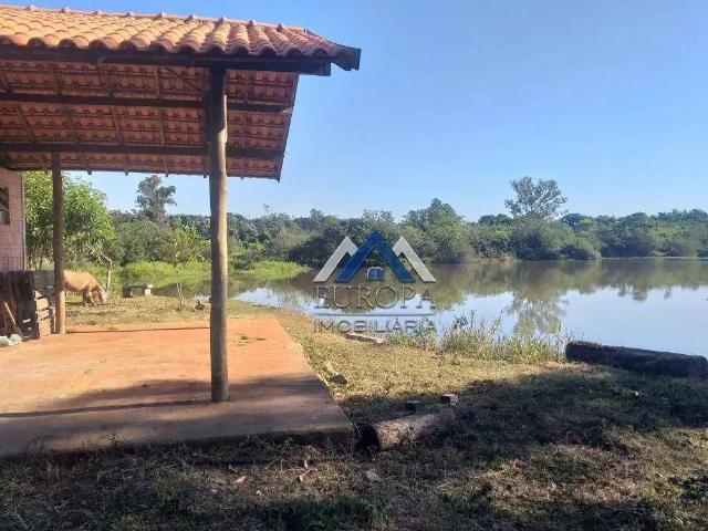 Sítio e chácara venda em Jataizinho, Paraná