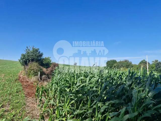 Sítio e chácara venda em Região Geográfica Imediata de Londrina, Jataizinho