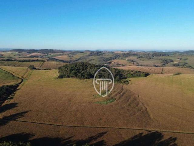 Sítio e chácara venda em Região Geográfica Imediata de Londrina, Jataizinho