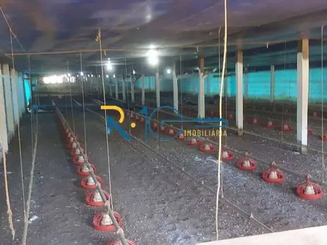 Sítio e chácara venda em Jataizinho, Paraná