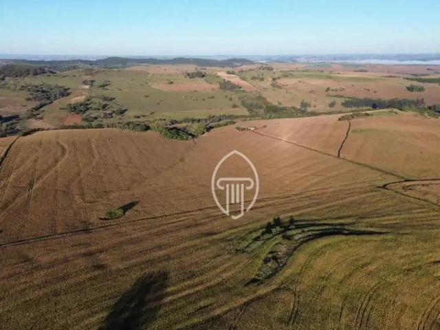 Sítio e chácara venda em Jataizinho, Paraná