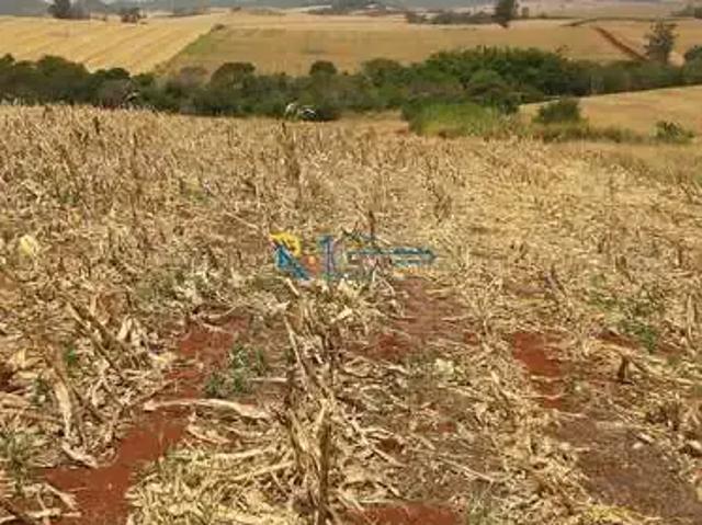 Sítio e chácara venda em Região Geográfica Imediata de Londrina, Jataizinho
