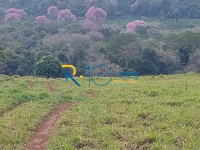 Sítio e chácara venda em Região Geográfica Imediata de Londrina, Jataizinho