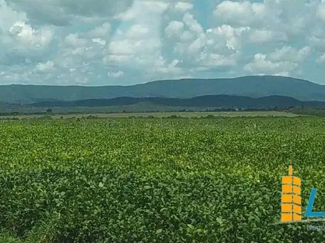 Sítio e chácara venda em Região Geográfica Imediata de Gurupi, Jaú do Tocantins