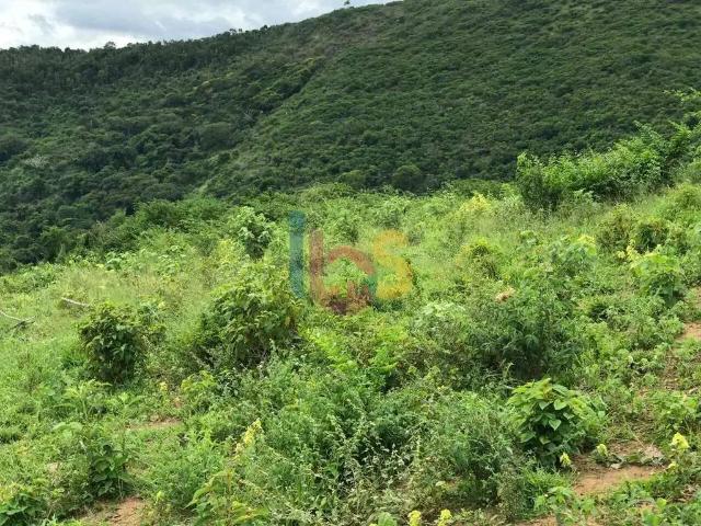 Sítio e chácara venda em Jequié, Região Nordeste