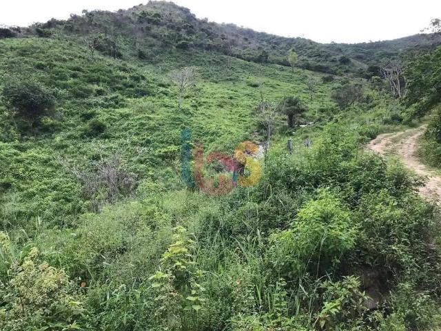Sítio e chácara venda em Jequié, Região Nordeste