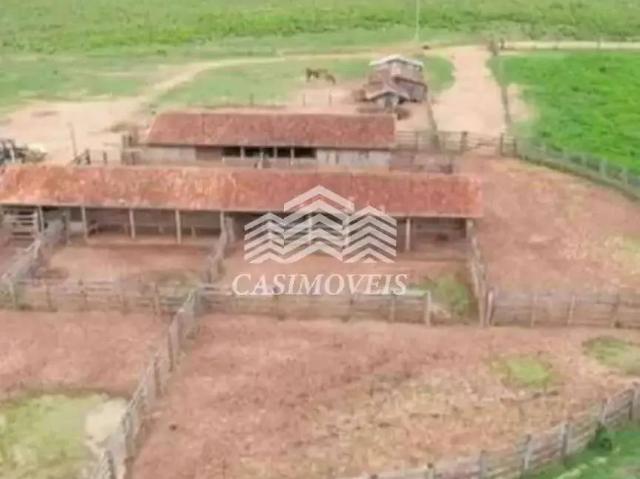 Sítio e chácara venda em Região Geográfica Imediata de Ji-Paraná, Ji-Paraná