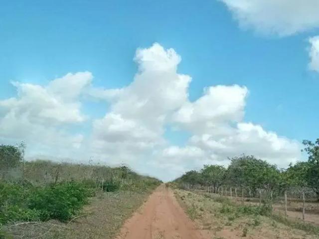 Sítio e chácara venda em João Câmara, Região Nordeste