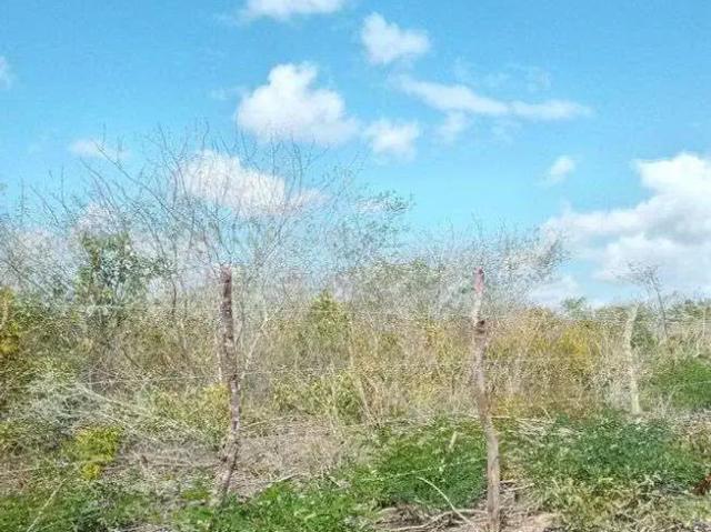 Sítio e chácara venda em João Câmara, Região Nordeste